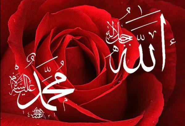 Любовь к Пророку Мухаммаду из-за любви к Всевышнему Аллаху